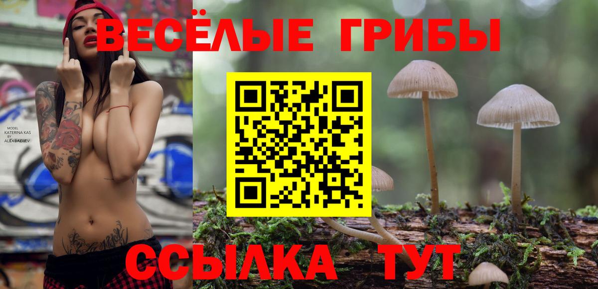 где купить   Вход с VPN  Сердобск  Псилоцибиновые грибы мухоморы 